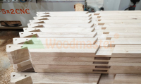 MÁY LÀM MỘNG ÂM CNC 10 ĐẦU WOODMASTER 2421