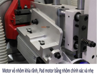 MÁY DÁN CẠNH NẸP GỖ TỰ ĐỘNG ( dán và chà nhám hoàn thiện) 1229