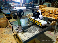 MÁY ĐƯA PHÔI TỰ ĐỘNG 6 BÁNH 1319