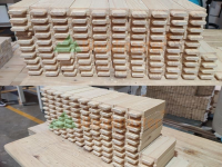 MÁY ĐÁNH MỘNG DƯƠNG CNC 1 ĐẦU 2 BÀN WM-150NC 3169