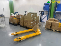Xe nâng kéo tay 3000 kg 6967