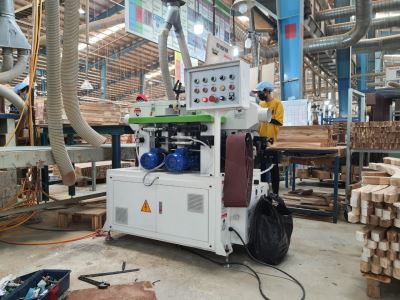 MÁY CHÀ NHÁM CẠNH CONG 2 MẶT WOODMASTER WM-506NE 739