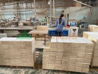 MÁY PHAY MỘNG MANG CÁ CNC 500MM 3102